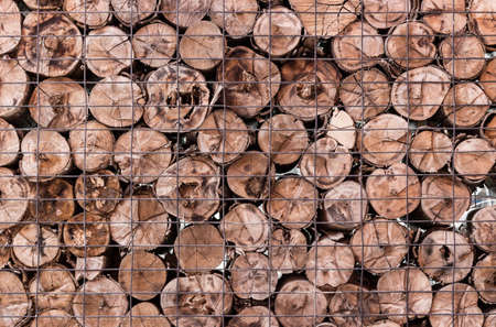 wood log backgroundの写真素材