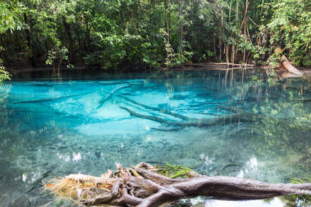 blue pool, travel location in krabi, thailandの写真素材