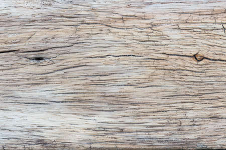 old wood grain texture backgroundの写真素材