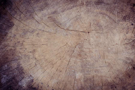 close up wood stumpの写真素材