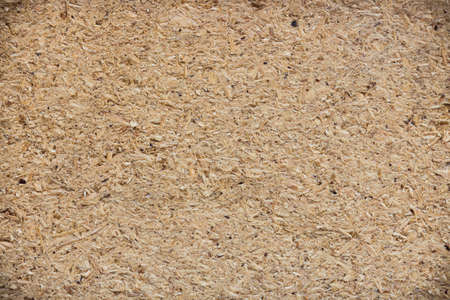 plywood backgroundの写真素材