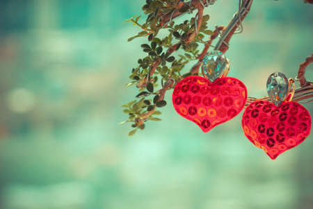 heart love symbol on treeの写真素材