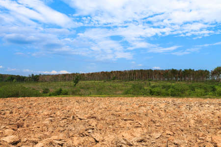 agriculture ground field landscape blue sky backgroundの写真素材