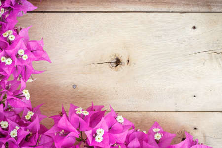 beauty bougainvillea flower on wood backgroundの写真素材