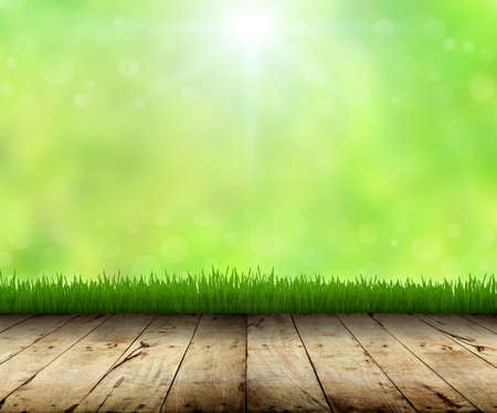 green grass and wood floor spring backgroundの写真素材
