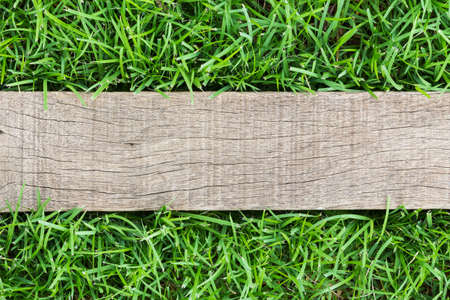 grain wood on green grassの写真素材