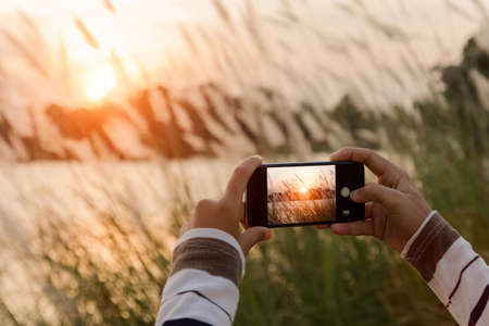 closeup hand using phone taking landscape photoの写真素材