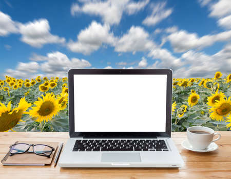laptop computer and coffee on sunflower field backgroundの写真素材