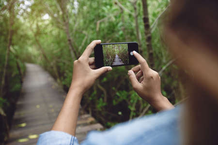woman use phone taking nature photoの写真素材