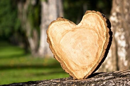 heart shaped from woodの写真素材