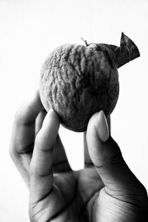 hand holding a dried peachの写真素材