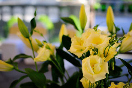 Flowers Decoration in a Wedding Receptionの写真素材