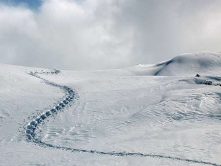 A single trail of footprints in deep snow.の写真素材