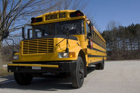 A yellow North American school bus stands in a parking lot in early spring.