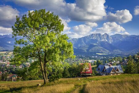 Tatra Mountains in Poland. View of Zakopane in the valley, mountains in the background.の写真素材