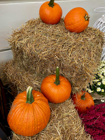 Orange pumpkins placed next to a sheaf of hayの写真素材