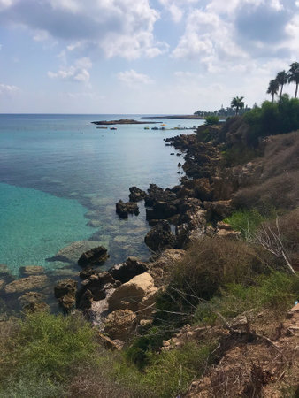 Sea shore, green vegetation, stones and clear water.の写真素材