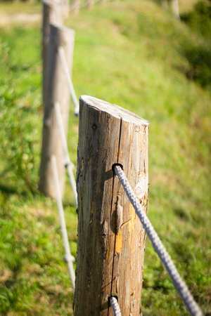 A wooden post with a rope tied to it. The post is in a grassy areaの写真素材