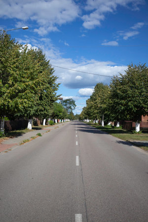 A street with a lot of trees and a clear blue sky. The street is empty and there are no cars or peopleの写真素材