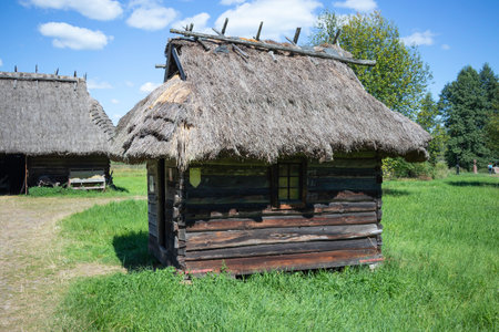 A small wooden house with a thatched roof sits in a grassy field. The house is surrounded by a lush green field, giving it a peaceful and serene atmosphereの写真素材