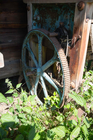 A rusted wheel is sitting in a field of green plants. The wheel is old and worn, and it is in a state of disrepair. The surrounding plants are lush and green, creating a contrast between the wheelの写真素材