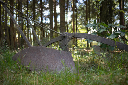A rusty old plow is sitting in the grass in a forest. The plow is old and rusted, and it is surrounded by trees. The scene has a sense of nostalgia and historyの写真素材