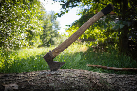 A large ax is sitting on a log in a grassy field. Concept of wilderness and the potential for outdoor activities such as camping or hikingの写真素材