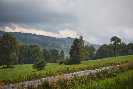 A cloudy day with a road running through a grassy field. The sky is overcast and the trees are bareの写真素材