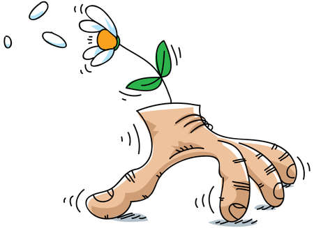 A hand scurries along with a flower on it.の写真素材