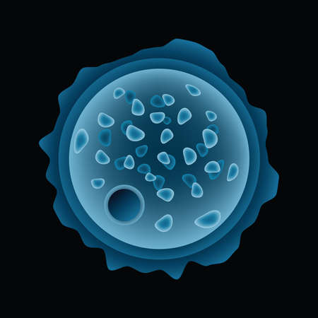 A cartoon scan of a microscopic amoeba.