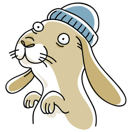 A cute, cartoon bunny in a toque の写真素材
