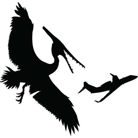 Silhouette of a large flying dinosaur attacking a commuter jet.のイラスト素材