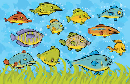 A variety of swimming fish underwater.のイラスト素材