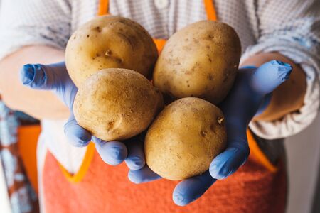 A woman displaying a variety of potatoes on her gloved hands.の写真素材