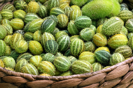 small decorative cucumbers in a wicker basketの写真素材