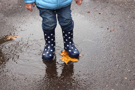 a child in rubber boots stands in a puddle with a maple leafの写真素材