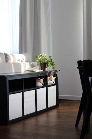black cabinet with white drawers in a modern interiorの写真素材