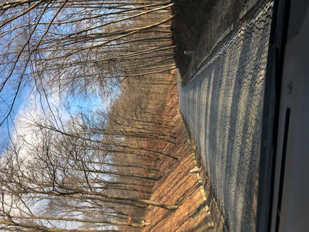 autumn road on a sunny day in the forestの写真素材