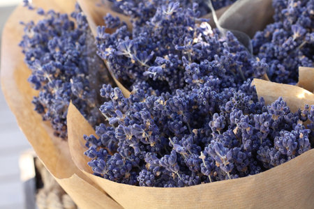 small bouquets of lavender in paper close-upの写真素材