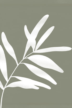 poster white silhouette of a branch with leaves on a gray-green backgroundの写真素材