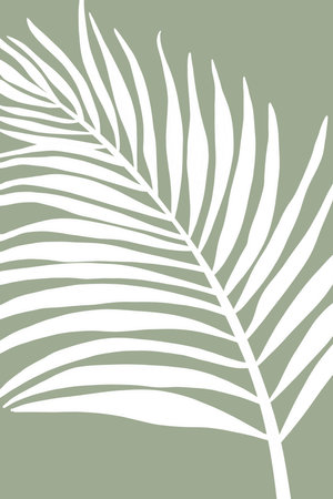 poster white silhouette of a branch with leaves on a gray-green backgroundの写真素材