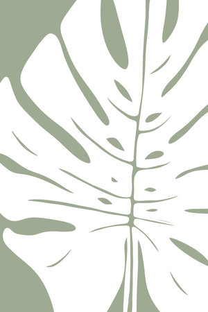poster white silhouette of a branch with leaves on a gray-green backgroundの写真素材