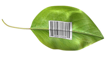 Bright green leaf with barcode on side against white backgroundの写真素材