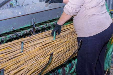 Workers handmade threat the reed in an old-fashioned way