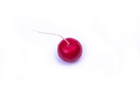 Radish isolated on a white surfaceの写真素材