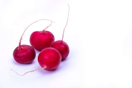Radishes isolated on a white surfaceの写真素材