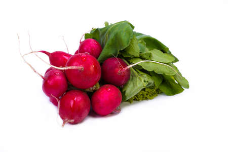 Radishes isolated on a white surfaceの写真素材