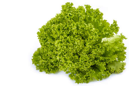 Cabbage isolated on white surfaceの写真素材