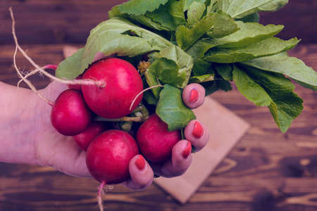 Bunch of radishes on a wooden boardの写真素材