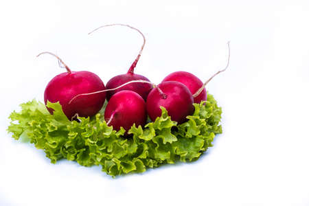 cabbage and radishes isolated on a white backgroundの写真素材